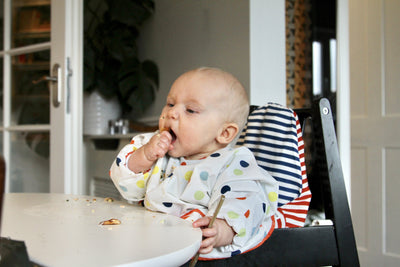 About Baby Led Weaning